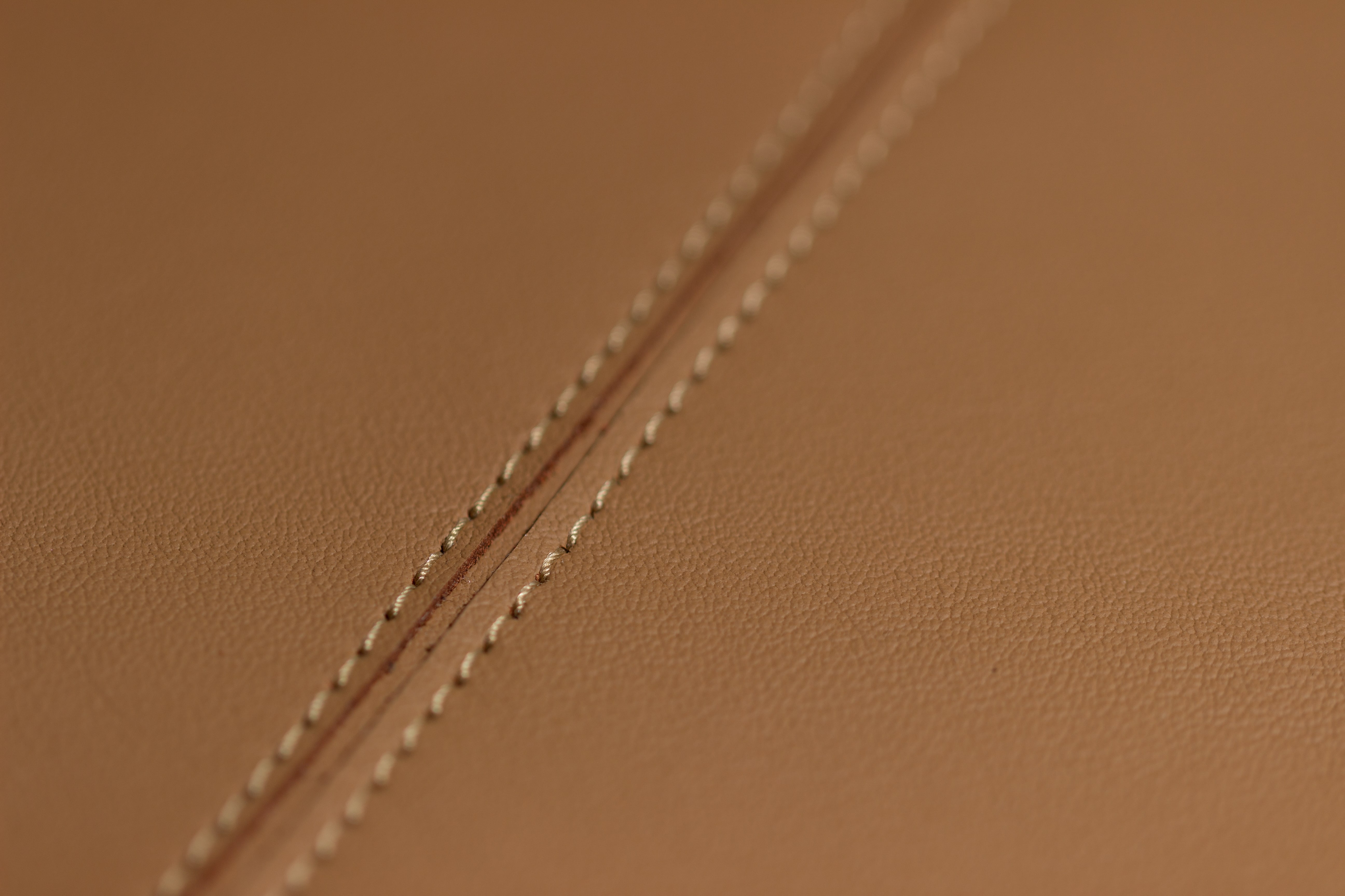 Eagle Ottawa Automotive Leather Lear Corporation